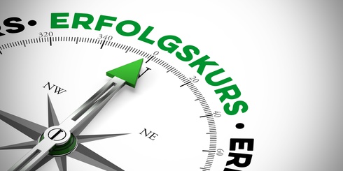 Organistationsentwicklung